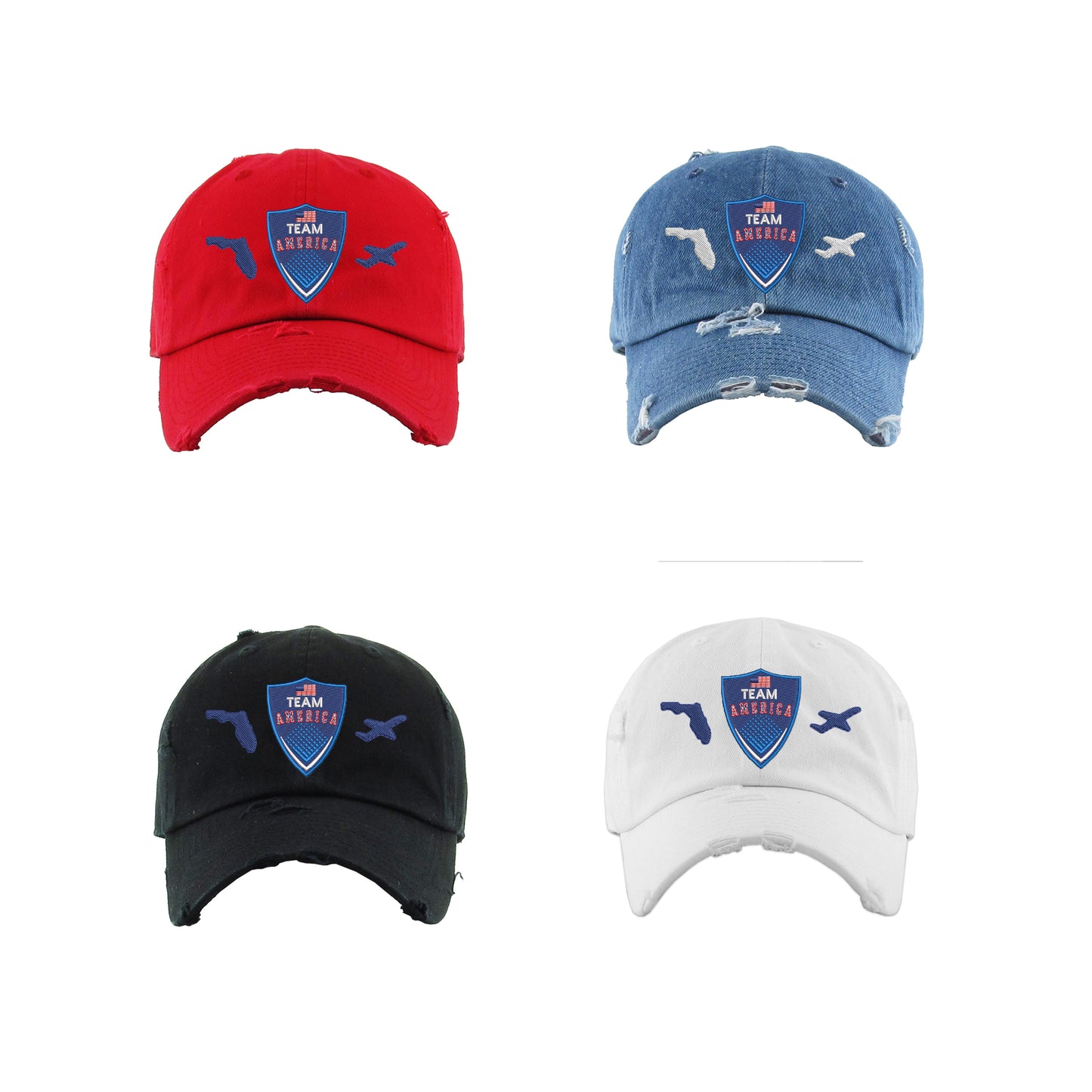 Team America Florida Dad Hat